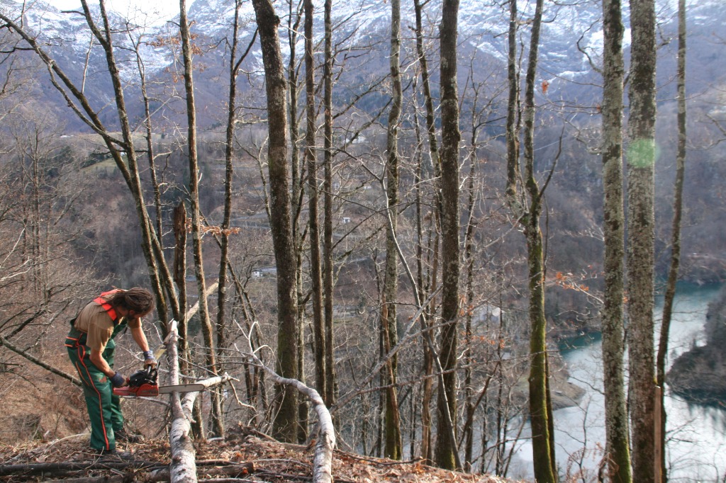 Markus beim Holzfällen im Wald