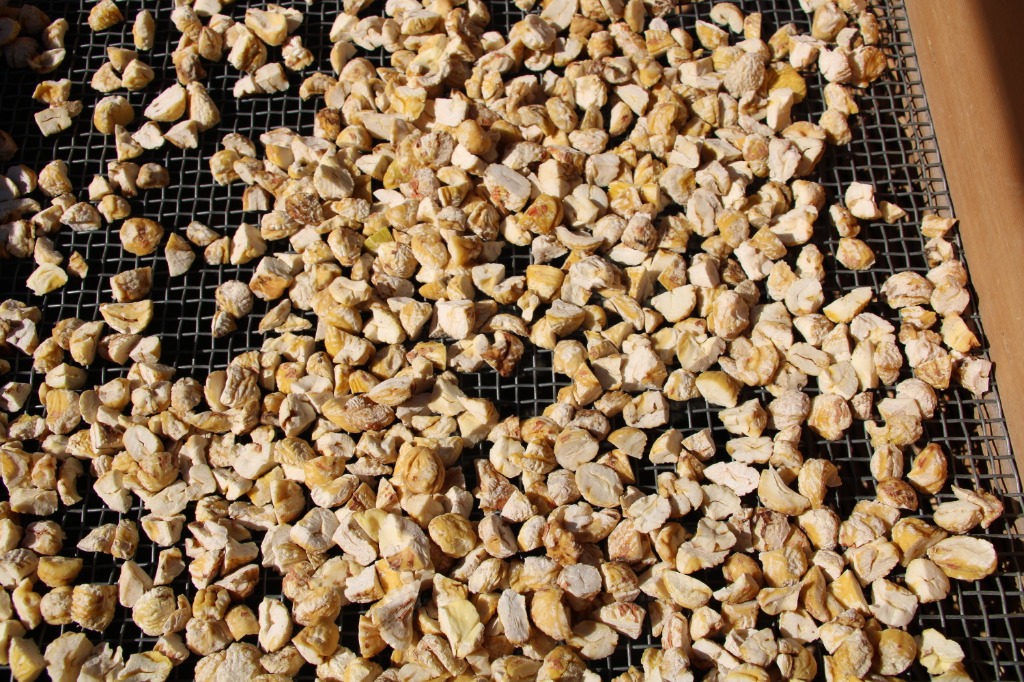 Getrocknete Kastanien